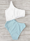 Two Tone Cut Out One Piece Swimsuit