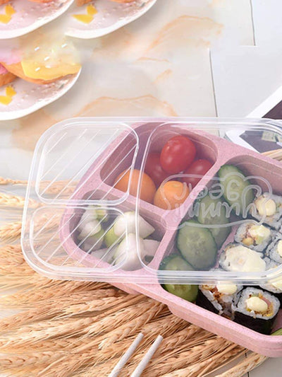 3<b style="color:White;"><font size="1"> -</font></b>Compartment Lunch Box