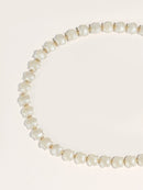 Rhinestone<b style="color:White;"><font size="1"> -</font></b>&<b style="color:White;"><font size="1"> -</font></b>Shell Embellished Chain Belt